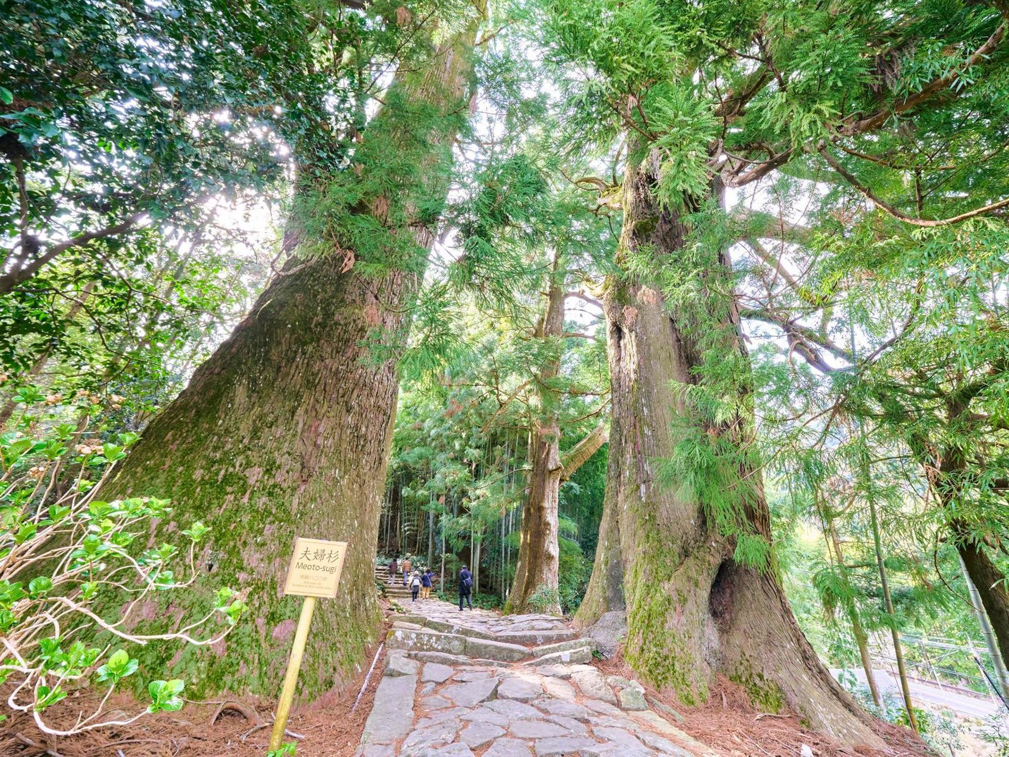 心结乡村民宿 那智胜浦 外观 照片
